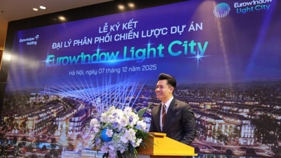 Компания Eurowindow Light City подписала контракт с 18 агентами и готова покорить рынок Тханьхоа
