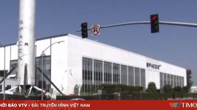 SpaceX стремится к оценке в 800 миллиардов долларов