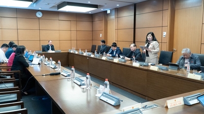 Réforme de la loi sur la taxe sur la valeur ajoutée : créer les conditions les plus favorables aux entreprises et aux particuliers