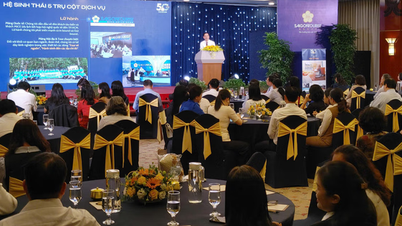 A cidade de Ho Chi Minh conecta-se com 168 bairros e comunas para desenvolver o turismo sustentável.