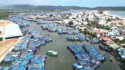 Aufbau eines modernen Fischereihafens in Tam Quan, führend in der digitalen Transformation