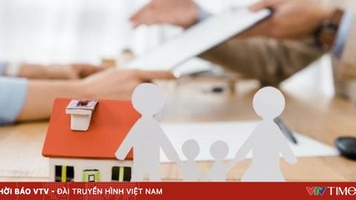 Приоритетный порядок регистрации для приобретения социального жилья