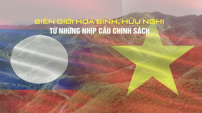 Fronteras pacíficas: la amistad desde los puentes políticos