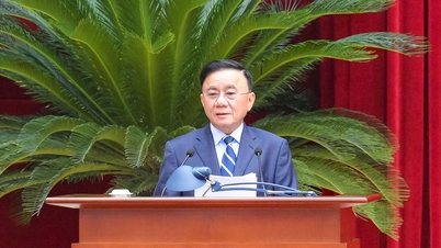 Foque em aperfeiçoar e implementar eficazmente o novo modelo organizacional.