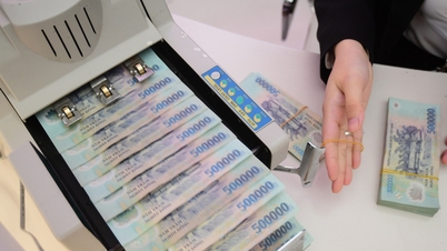 Høye fortjeneste-, gjødsel- og luftfartsbedrifter øker sine resultatmål etter skatt for hele året.