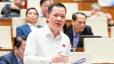 بین تھانہ - سوئی ٹین میٹرو لائن کو ڈونگ نائی تک بڑھانے کے لیے ایک خصوصی طریقہ کار کی تجویز