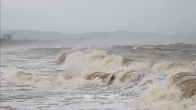 The sea area from Da Nang to Dak Lak has gusts of wind level 7 - 8.