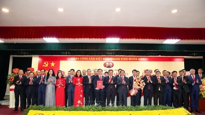 La résilience macroéconomique crée une dynamique pour la restructuration du secteur industriel et commercial