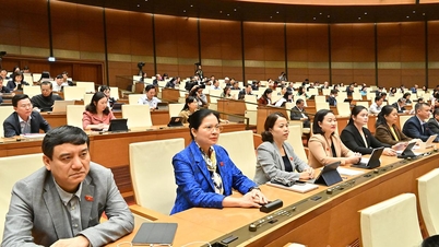 प्रतिनिधि मा थी थुई: कर धोखाधड़ी के प्रयोजनों के लिए चालान खरीदने और बेचने की स्थिति को हल करना और उन्हें वैध बनाना आवश्यक है।