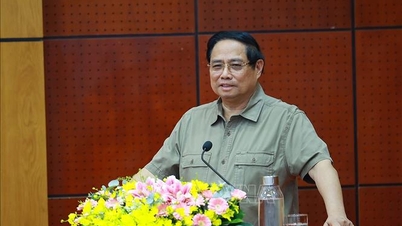 প্রধানমন্ত্রী ফাম মিন চিন তাই নিন প্রাদেশিক পার্টি কমিটির স্থায়ী কমিটির সাথে কাজ করেন