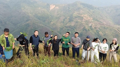 100 000 stromů skořice a badyánu na podporu lidí v horách Khau Vai