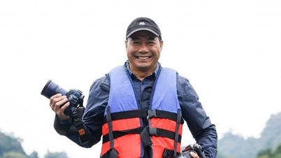 Ba-Be-See: Beobachten, wie sich die Blätter des uralten Waldes zum Jahresende verfärben