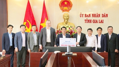 자라이성 인민위원회 위원장이 더허스그룹과 흥년그룹 간부들을 접견하고 함께 일했다.