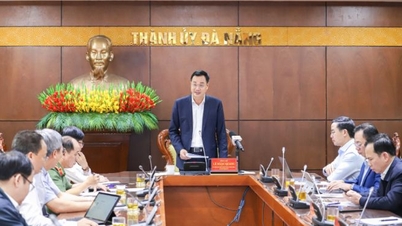 डिजिटल परिवर्तन में शीर्ष 5 अग्रणी इलाकों में शामिल होना दा नांग का लक्ष्य