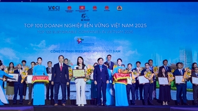 FrieslandCampina Vietnam wins CSI 2025 sustainable development enterprise award