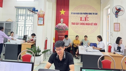 Start des Online-Wettbewerbs zur Verwaltungsreform im Jahr 2025