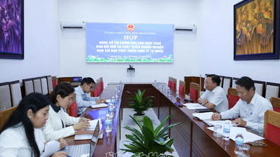 Раннее создание Провинциального руководящего комитета по развитию частного сектора экономики