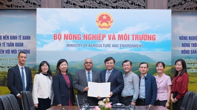 Mezinárodní organizace podporují Vietnam v překonávání následků přírodních katastrof