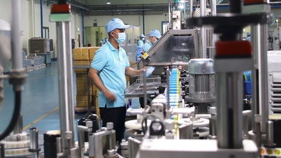 Khánh Hoà: Chỉ số sản xuất công nghiệp 11 tháng tăng 6,24%