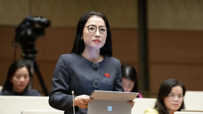 Mendukung kerangka hukum yang berbeda untuk Kota Ho Chi Minh, para delegasi mengatakan perlu dibuat mekanisme untuk menarik investor.