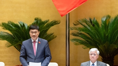 Aanvullende mechanismen en beleidsmaatregelen die van toepassing zijn op hogesnelheidsspoorwegprojecten op de Noord-Zuidas: voorlopige vaststelling van de totale investering en het gewonnen landoppervlak