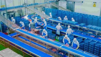 FDI, export - pillars of Vietnam's growth