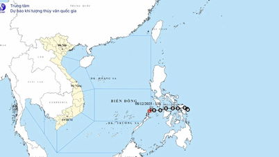 Tropická deprese před vstupem do Východního moře slábne do tlaku vzduchu.