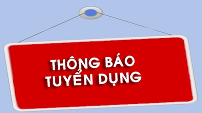 Vietnam Devlet Bankası, Bölge 10 şubesi, işe alım ilanı