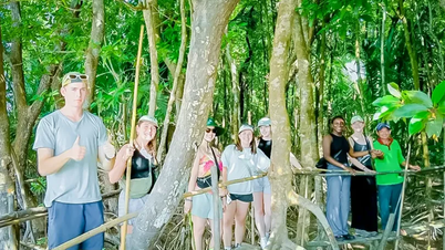 কু লাও ডাং-এ "বনের মধ্য দিয়ে বাঁশের সেতু" আবিষ্কার করুন