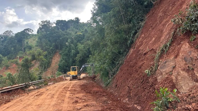 লাম ডং: ভূমিধসের কারণে গিয়া বাক পাস দিয়ে যানবাহন চলাচলে নিষেধাজ্ঞা জারি করা হয়েছে