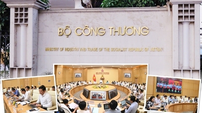 กระทรวงอุตสาหกรรมและการค้า: การออกกฎหมายกำลังเปลี่ยนทิศทางไปสู่การสร้างสรรค์