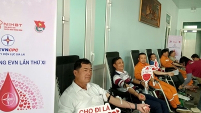 पीसी जिया लाई ने 11वें ईवीएन रेड वीक में 313 यूनिट रक्तदान किया