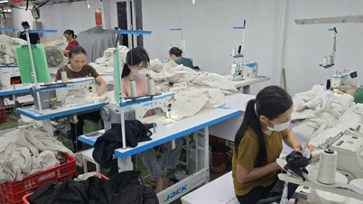 Экологизация текстильной промышленности в целях устойчивого развития