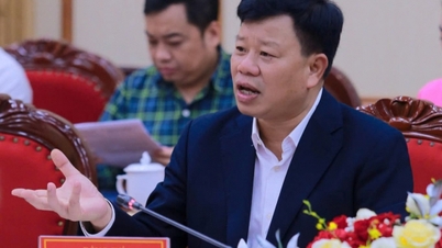 Hai Phong, yerel destekleyici işletmeler ve doğrudan yabancı yatırım girişimleri arasında 'köprü' kuruyor