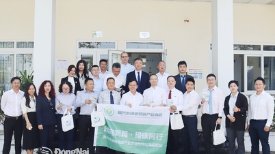 قام الوفد العامل لجمعية الصناعة الخضراء والمنخفضة الكربون في مدينة ييشينغ بمقاطعة جيانغسو بزيارة 4 مناطق صناعية في دونغ ناي والعمل معها