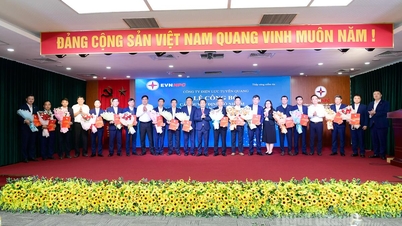 أعلنت شركة كهرباء توين كوانج عن قرارات بشأن عمل الموظفين