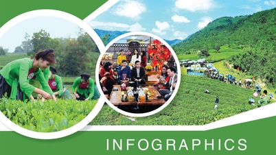 Program festiwalu „Thai Nguyen – Zapach i kolor słynnej herbaty” 2025