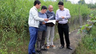 Phu Tho undanröjer svårigheter för att säkerställa framsteg med röjning av plats för miljarddollarjärnväg