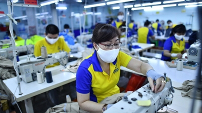 VitaJean از فناوری سبز برای کاهش انتشار کربن استفاده می‌کند