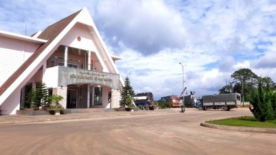 Da Nang propõe ajustar a Zona Econômica da Porta Fronteiriça de Nam Giang para cerca de 28.400 hectares.