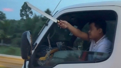 دونگ تاپ: راننده‌ای که مردم را با چاقو در بزرگراه تهدید می‌کرد، جریمه شد