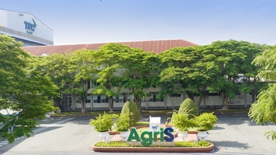 شرکت AgriS (SBT) با موفقیت مجمع عمومی سالانه سهامداران را برای سال مالی 2024-2025 برگزار کرد.