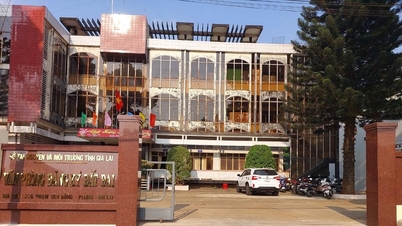 Gia Lai: سست اور کرپٹ فائل پروسیسنگ کی وجہ سے لینڈ رجسٹریشن آفس کو جامع طور پر درست کریں۔