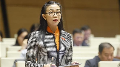 Провідна та наглядова роль держави у розвитку малої модульної ядерної енергетики