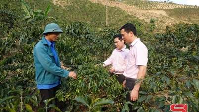 Ampliar as oportunidades de produção para famílias pobres em áreas de minorias étnicas.