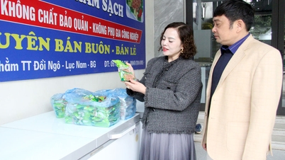 루크남 협동조합 개발: 장점 활용, 국민소득 증대