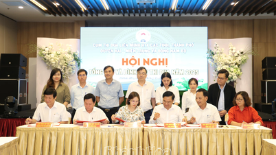 Кластер эмуляции Кооперативного альянса в Прибрежно-Центральном и Юго-Восточном регионах подводит итоги 2025 года