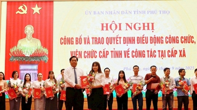 फु थो: एजेंसियों और इकाइयों में कार्यालय संस्कृति पर नियम लागू करना