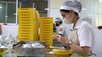 Hai Phong'un 11 aylık sanayi üretim endeksi %15,14 arttı