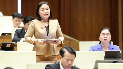 Ekonomi ve Finans Komitesi Başkan Yardımcısı Pham Thuy Chinh: Açık deniz rüzgar enerjisi projelerine yatırım yapanların kapasitesini değerlendirmek için kriterlere ihtiyaç var.